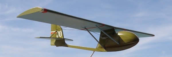  # antp800 Rare Antonov gliders IH-2 and IH-4 2